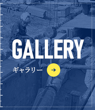 sp_bnrhalf_gallery